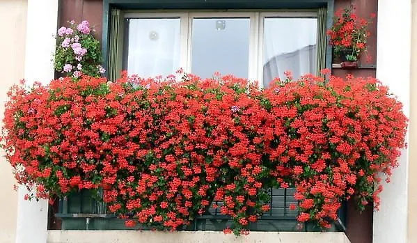 Hotel Santa Pera Istanbul 2*,